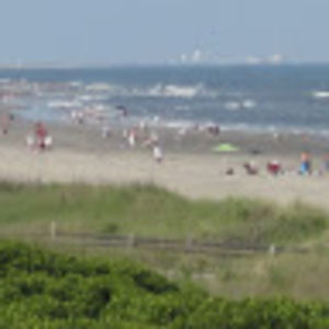 Meet your Posher, Benjamin